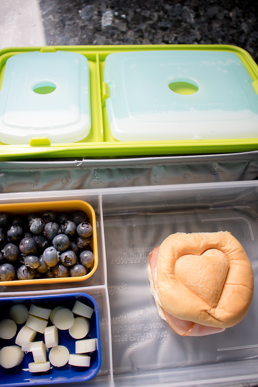 Freezer Pack Top in Bento Lunchbox