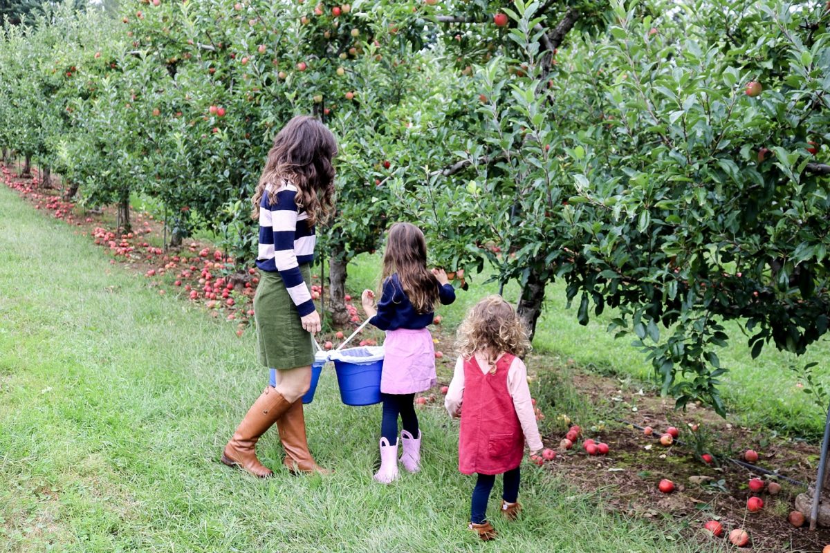 Woman with daughters picking apples at Drazen Orchard Cheshire CT