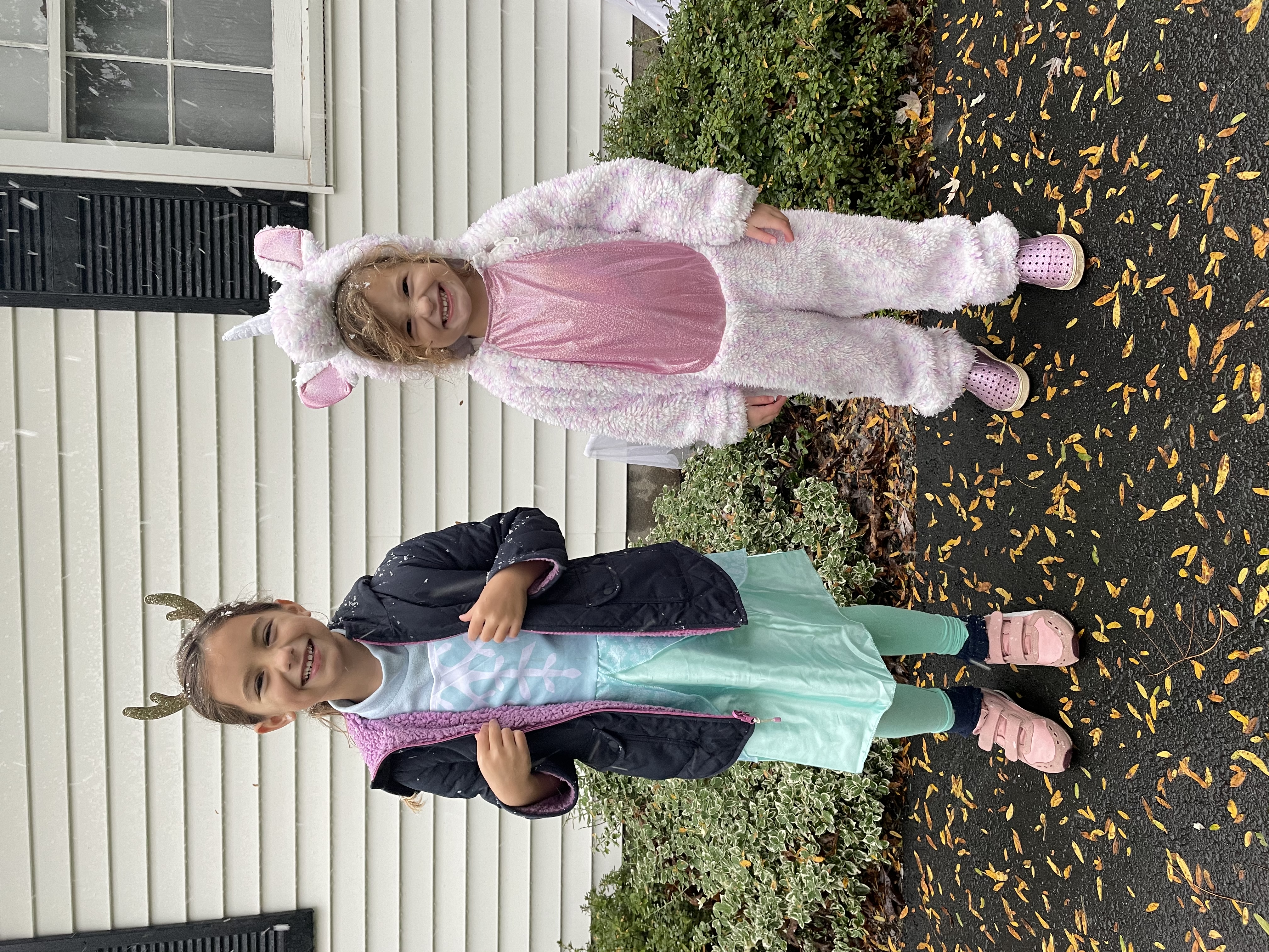 Winter fairy and Pink Unicorn Halloween costumes
