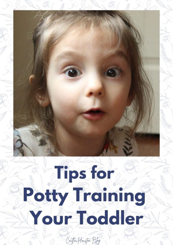 Tips for Potty Training Your Toddler