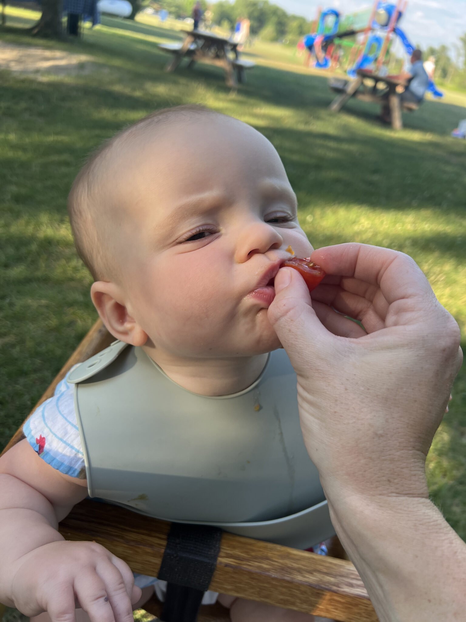 baby eating tomato