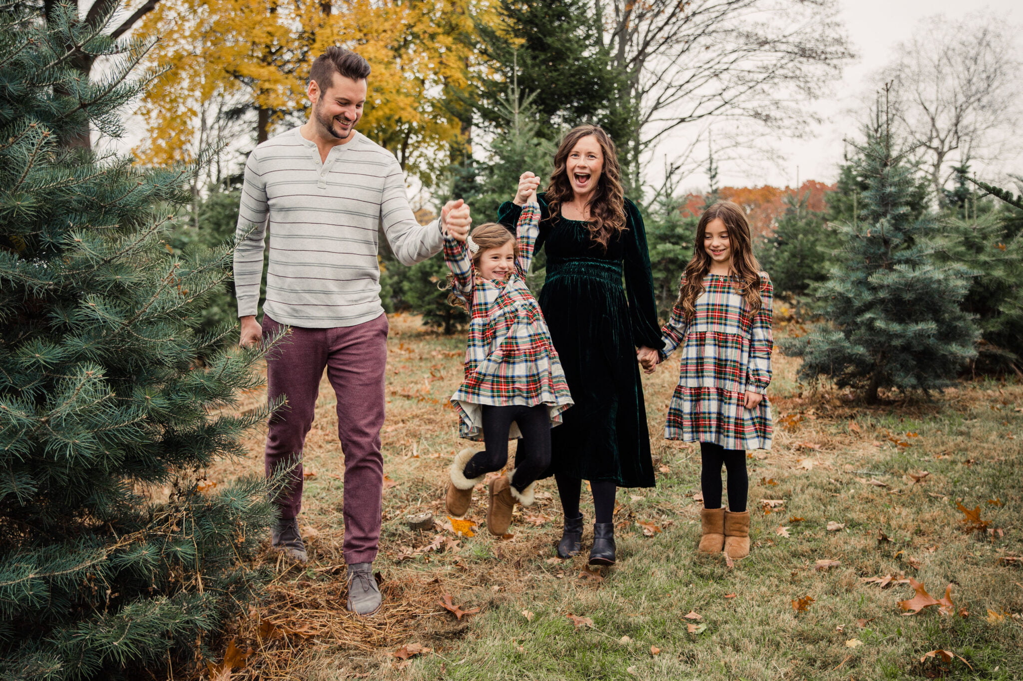 Christmas Tree Farm Family Photos Plaid Dresses Velvet Dress
