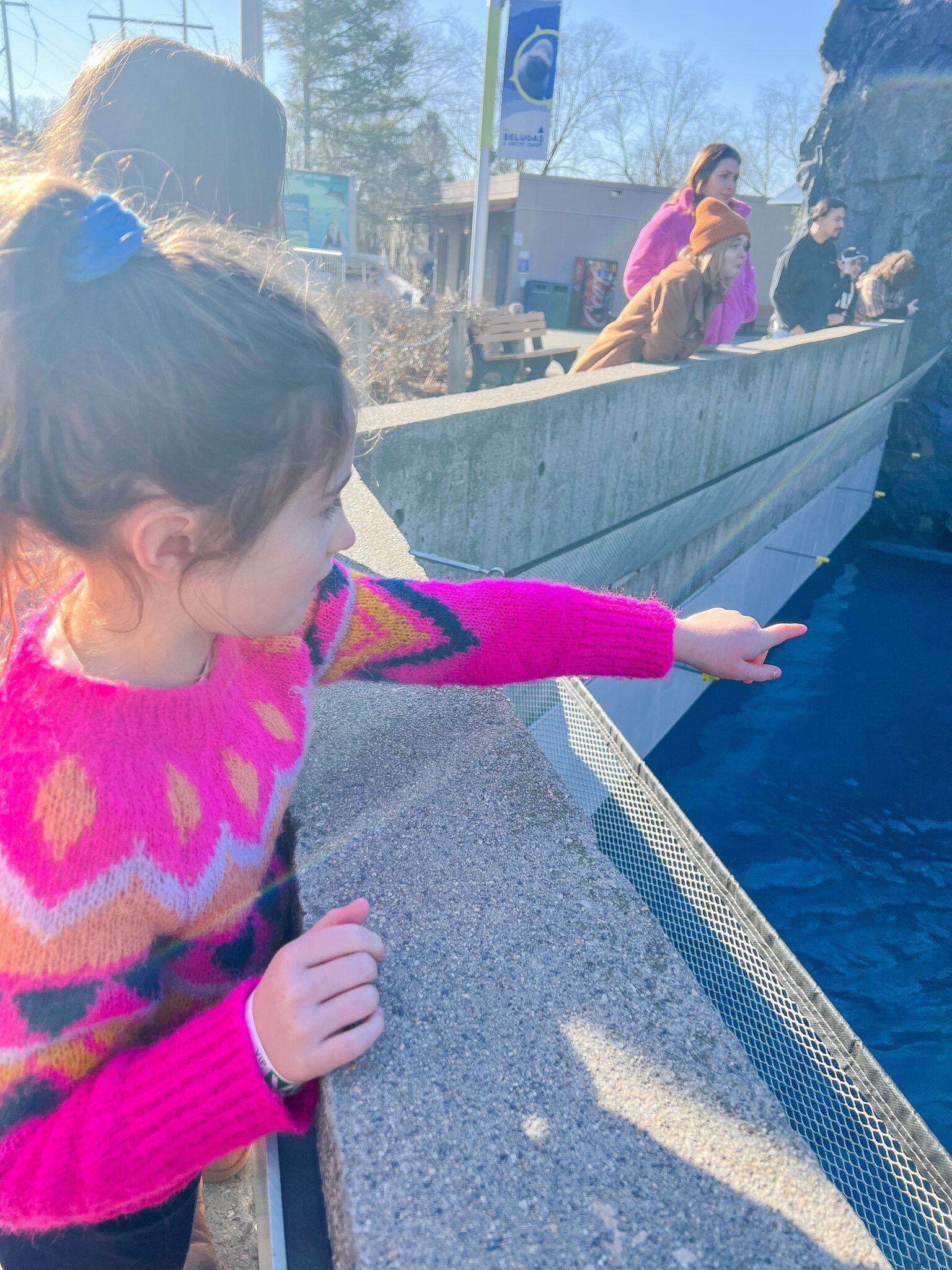 little girl pointing to seals at Mystic