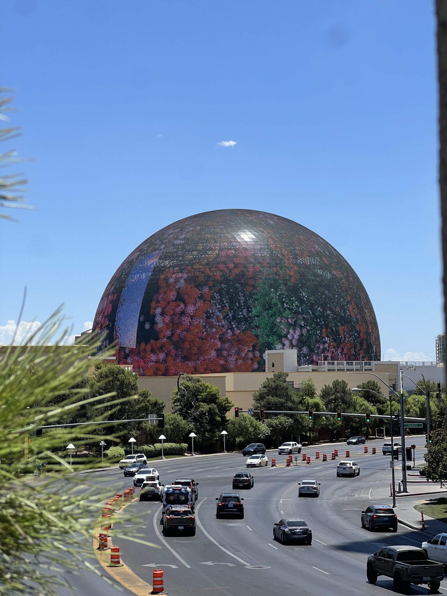 View of the Sphere on bridge from Venetian to Wynn with image of Las Vegas flowers